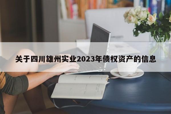 关于四川雄州实业2023年债权资产的信息