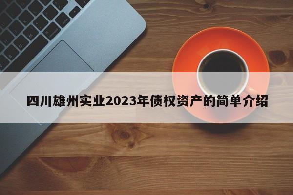 四川雄州实业2023年债权资产的简单介绍