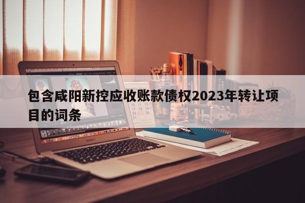 包含咸阳新控应收账款债权2023年转让项目的词条
