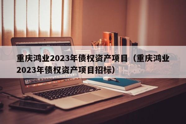 重庆鸿业2023年债权资产项目（重庆鸿业2023年债权资产项目招标）