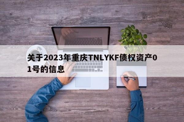 关于2023年重庆TNLYKF债权资产01号的信息