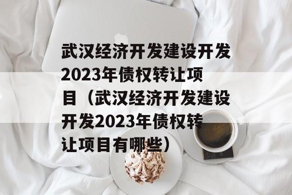 武汉经济开发建设开发2023年债权转让项目（武汉经济开发建设开发2023年债权转让项目有哪些）