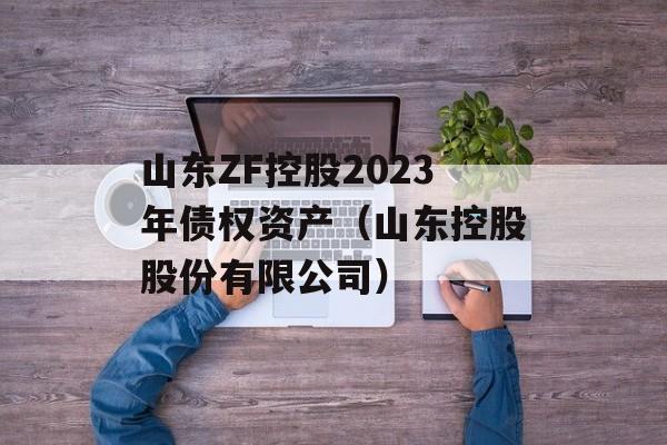 山东ZF控股2023年债权资产（山东控股股份有限公司）