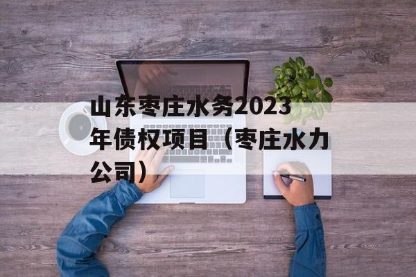 山东枣庄水务2023年债权项目（枣庄水力公司）