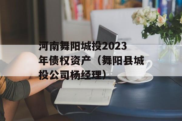 河南舞阳城投2023年债权资产（舞阳县城投公司杨经理）