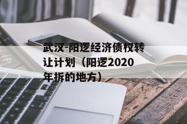 武汉-阳逻经济债权转让计划（阳逻2020年拆的地方）