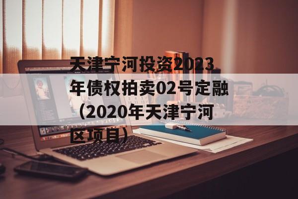 天津宁河投资2023年债权拍卖02号定融（2020年天津宁河区项目）