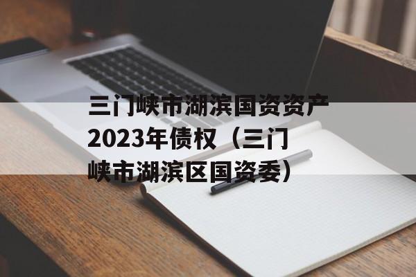 三门峡市湖滨国资资产2023年债权（三门峡市湖滨区国资委）