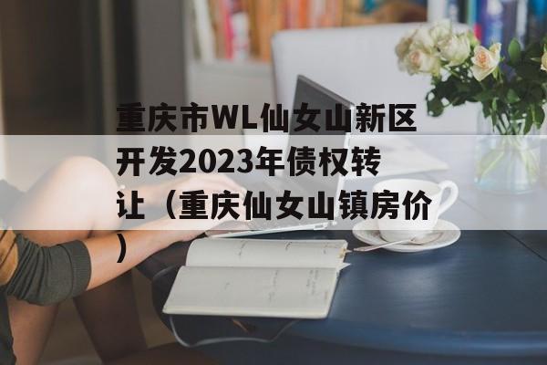 重庆市WL仙女山新区开发2023年债权转让（重庆仙女山镇房价）