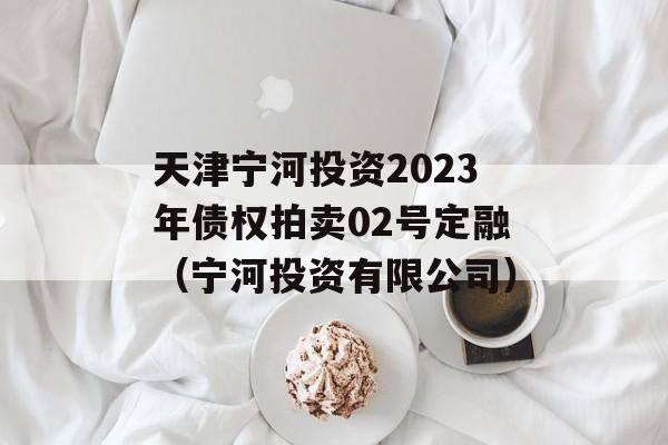 天津宁河投资2023年债权拍卖02号定融（宁河投资有限公司）
