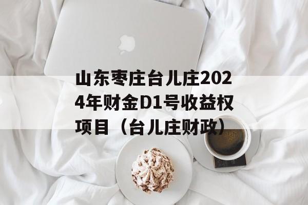 山东枣庄台儿庄2024年财金D1号收益权项目（台儿庄财政）
