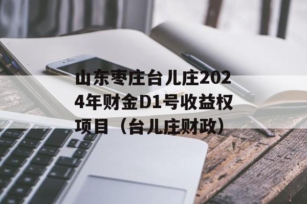 山东枣庄台儿庄2024年财金D1号收益权项目（台儿庄财政）