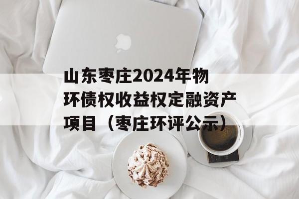 山东枣庄2024年物环债权收益权定融资产项目（枣庄环评公示）