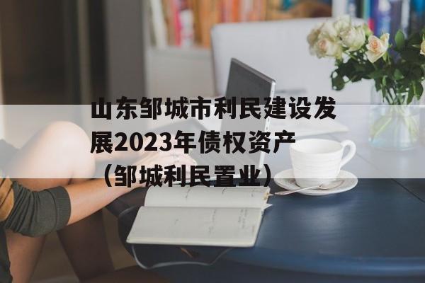 山东邹城市利民建设发展2023年债权资产（邹城利民置业）